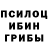 Галлюциногенные грибы GOLDEN TEACHER Momma J