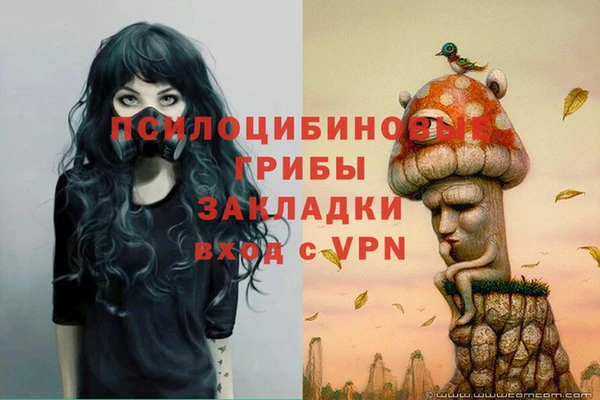 2c-b Ельня