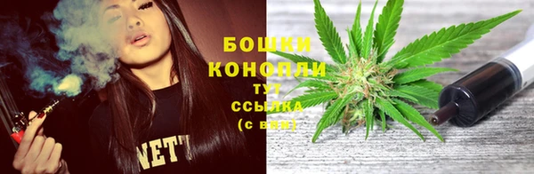 2c-b Ельня