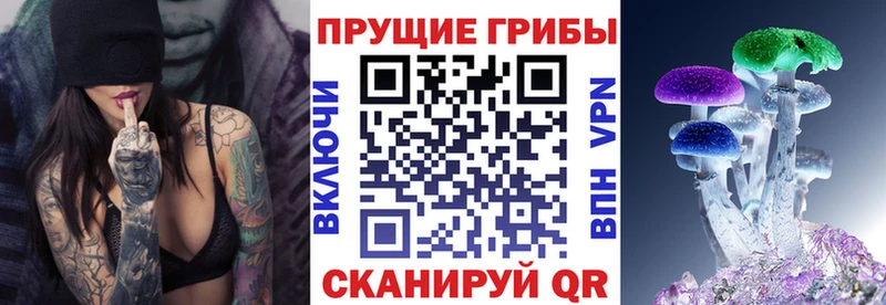 кракен зеркало  Инта  Галлюциногенные грибы мицелий  купить  сайты 